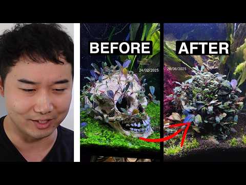 New Aquascaping Technique Just Dropped | Fish Tank Review 329