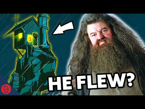 The One Hagrid Question That Never Gets Answered | Harry Potter Theory