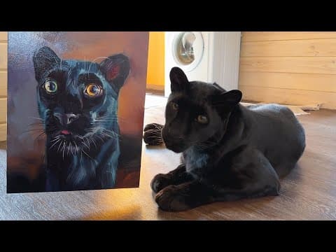 Big Gift Unboxing With Luna The Panther  😂❤️(eng Sub)