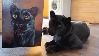 Big Gift Unboxing With Luna The Panther  😂❤️(eng Sub)