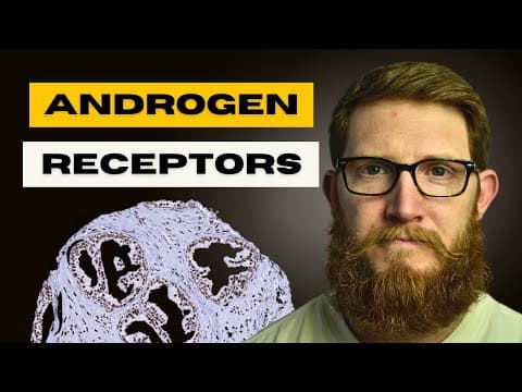 Androgen Receptors | How To Increase Your Response To Testosterone