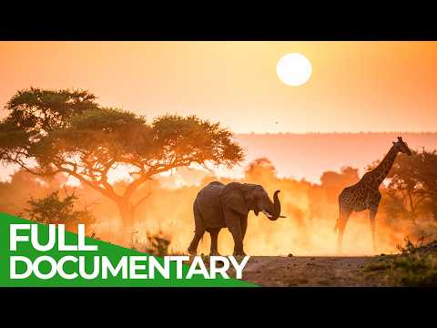 Wonders Of Africa: What A Difference A Day Makes | Free Documentary Nature