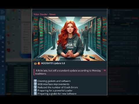Infostealers Are Everywhere | Vidar Demonstration