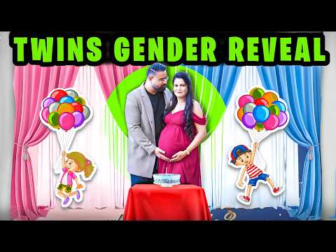 Gender Reveal - Twin Babies