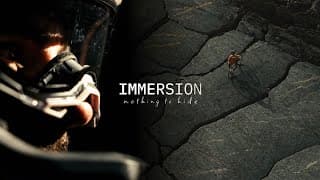 Immersion - Nothing To Hide