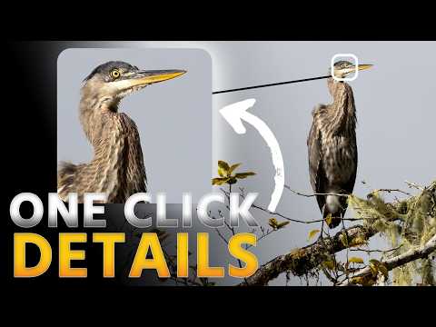 Photoshop's New Filter For Razor Sharp Images