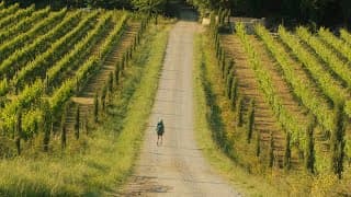 Walking The Via Francigena