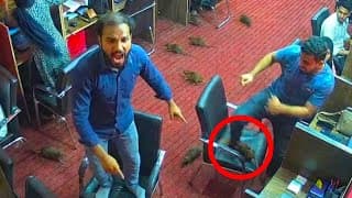 Scammers PANIC After I Destroy Their Office With Rats!