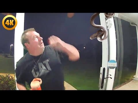 Dad Gets Scared of Snake  🤣 | 30 Mins of Funniest Pet Shorts