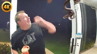 Dad Gets Scared of Snake  🤣 | 30 Mins of Funniest Pet Shorts