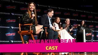 Chat With The Star Studded Cast Of Tubi's Breaking Bear | Nycc 2025