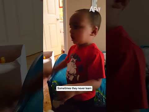 Sometimes they never learn