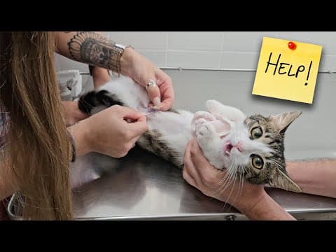 24 Hours To Uncover The Truth About Mila!