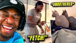 Sidemen Try Not To Laugh: Animal Edition
