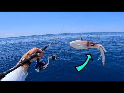 Three Pb's In One Day! Lake Atlantic Offshore Fishing! Big Fish!!