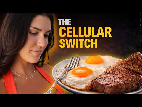 Reset Your Insulin In 24 Hours: What I Eat From Morning To Night