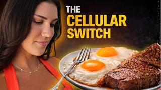 Reset Your Insulin In 24 Hours: What I Eat From Morning To Night