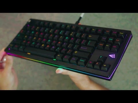 Paper80 Build Stream