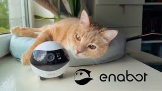 Ebo Air 2 Review – The Cutest Home Robot You Didn’t Know You Needed