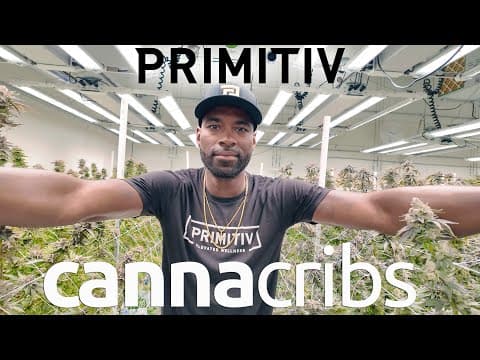 Nfl Star Calvin Johnson Builds Cannabis Legacy