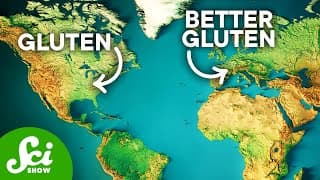 Why Your Gluten Intolerance Gets Better On Vacation