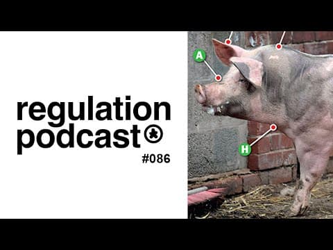 Bunce & Quince // Pig Parts Draft [86]