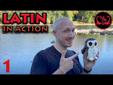 Latin In Action! Ep.1 |  Throwing, Running, Climbing, Descending