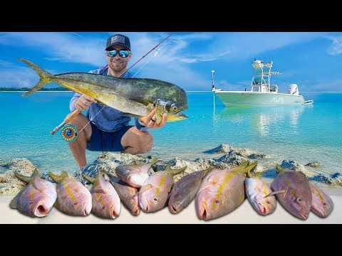 It Started With Monster Yellowtails… Then This Happened!