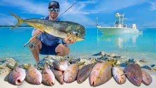 It Started With Monster Yellowtails… Then This Happened!