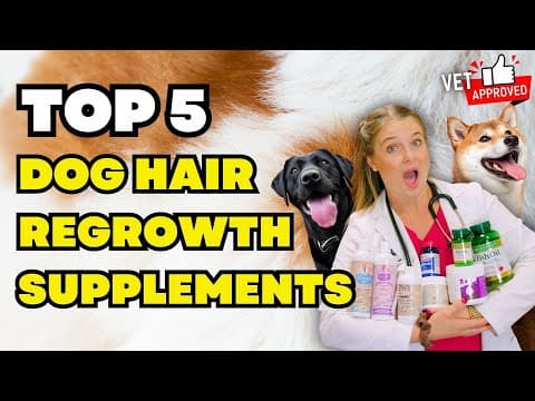 Top 5 Dog Hair Regrowth Supplements! | Dr. Lindsay Butzer Vet Explains