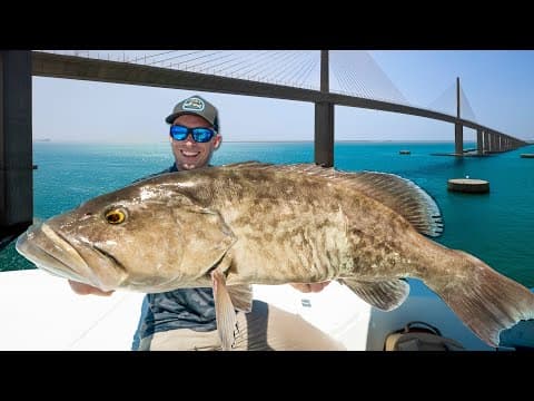 Tampa Bay's Most Aggressive Fishery (catch Clean & Cook)