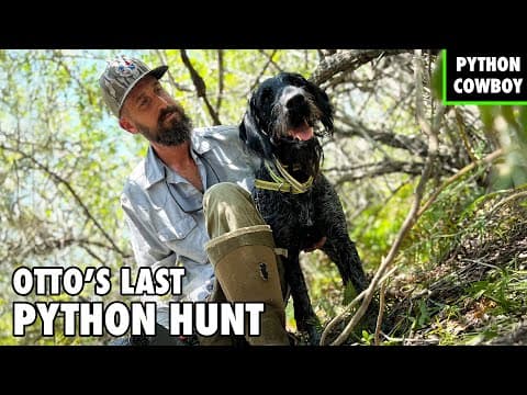 Otto’s Last Python Hunt — The Pioneer Of Florida Python Hunting