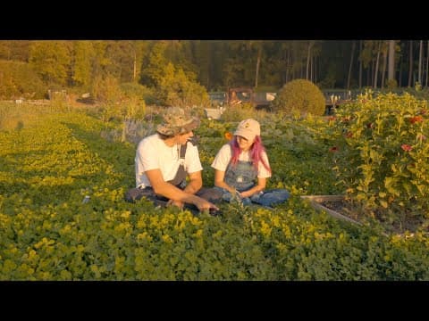 I Fell In Love With A Pornstar Again.