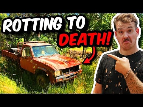 Never Been Registered...? 1980's Barn Find