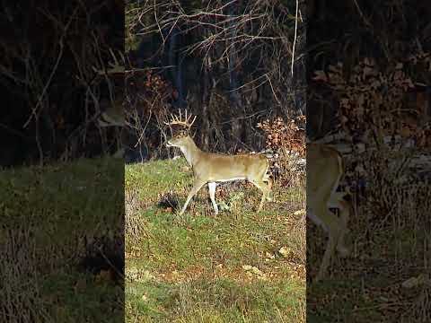 Food is Short This Time of Year