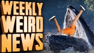 Man Swallowed By Whale - Weekly Weird News