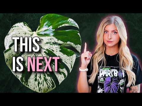 The Plant Market Is About To Change Again (2026 Predictions)