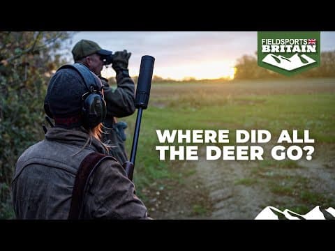 Where Did All The Deer Go?