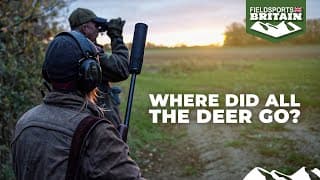 Where Did All The Deer Go?