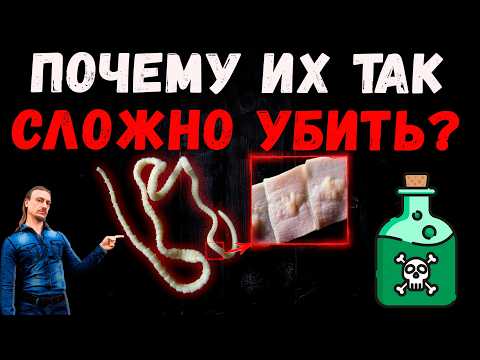 Почему Так Трудно Избавиться От Ленточных Червей?