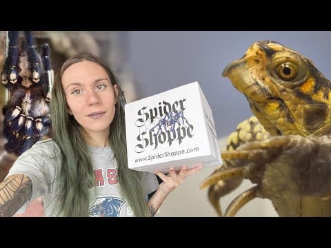 How Could Someone Abandon These Animals?! + Giant Pokie Enclosure Build! Vlog