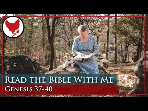 Listening To The Bible | Peaceful Scripture Reading - Genesis 37-40