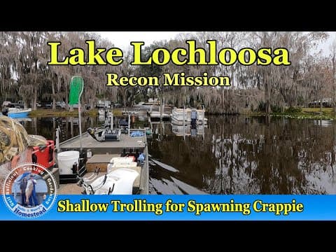 Crappie Spawn Fishing - Lake Lochloosa, Florida