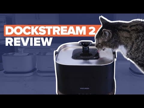 Petlibro Dockstream 2 Review: The Best Cat Water Fountain Yet?