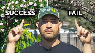 7 Rose Growing Mistakes To Avoid