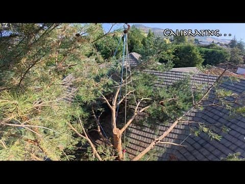 This Tree Had Nowhere To Fall… Here’s How We Did It