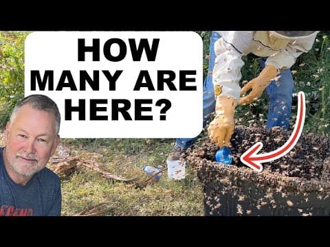 Beekeeping: I Tested A Community Feeder For Mites—here’s What I Found