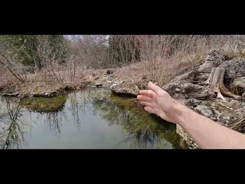 Opening Up The Ecosystem Pond For The Year