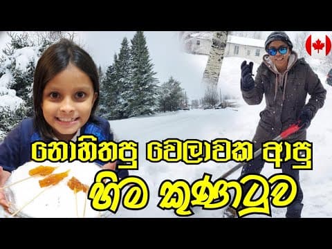 නොහිතපු වෙලාවක ආපු හිම කුණාටුව|හිම වලින් රස කෑමක් |snow Strom In Spring Time| සිංහල|