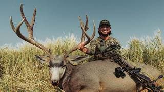 Alberta Mule Deer With The Mathews Arc